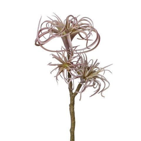 RAMO TILLANZIA X3 CM54 ROSA